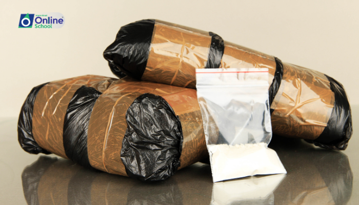 Lesson 08: Narcotics Explained